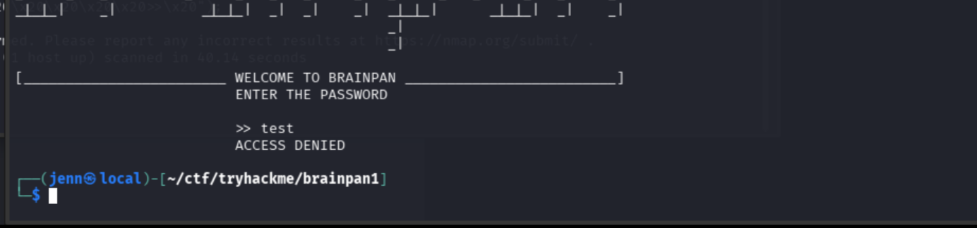 Brainpan service returning access denied on bad password input